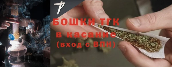 шишки Беломорск