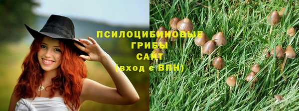 шишки Беломорск