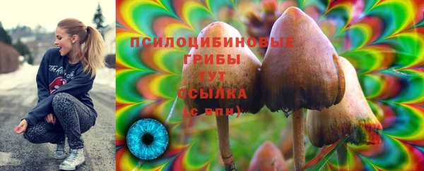 бутират Белокуриха