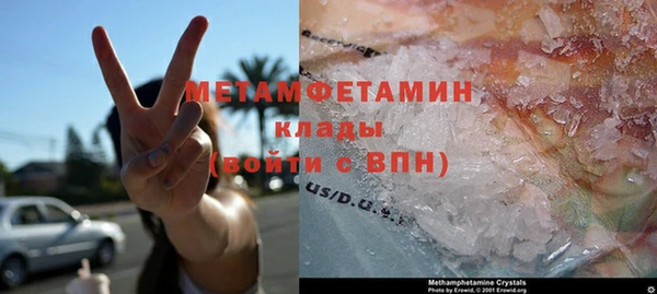 шишки Беломорск