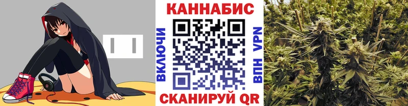 Марихуана Amnesia  купить наркоту  Гай 